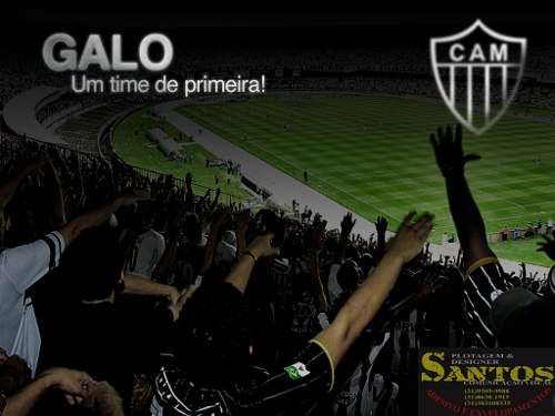 Adesivo Galo 36565  - Edimpressoes